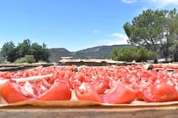 Dried Tomatoes (1/4-lb)