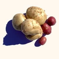 Potatoes