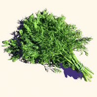 Herbs (dill, etc.)