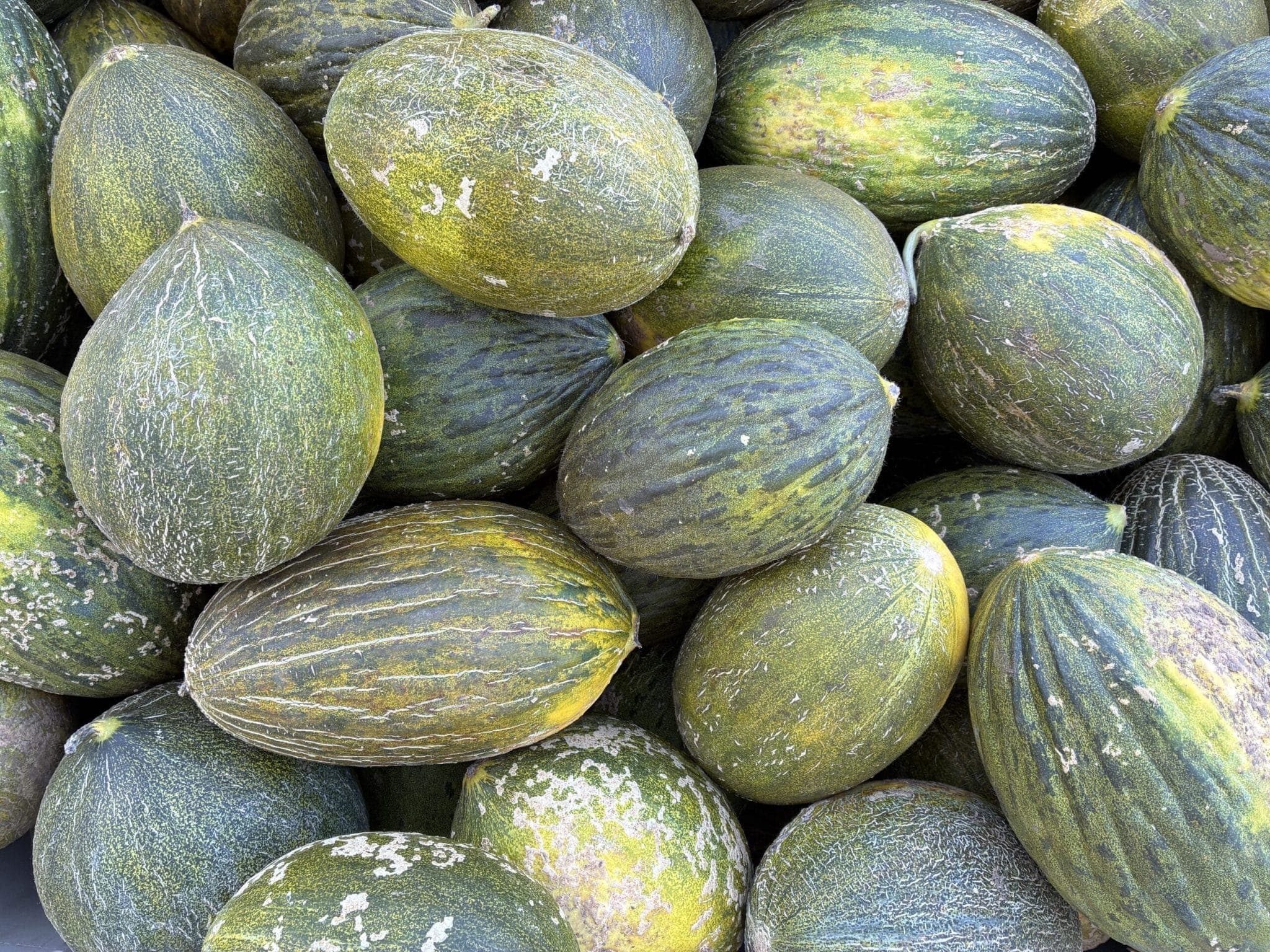 News from the Farm | September 22, 2025