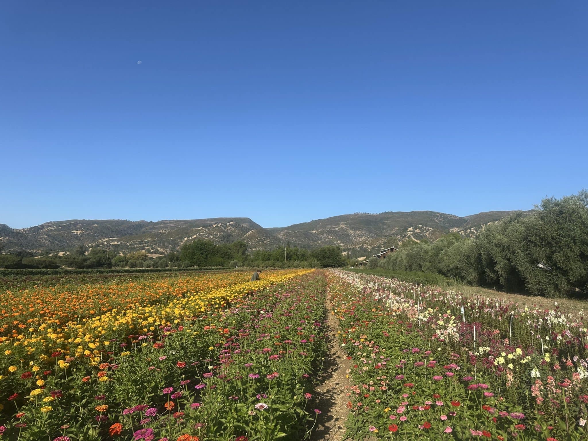 News from the Farm | September 29, 2025
