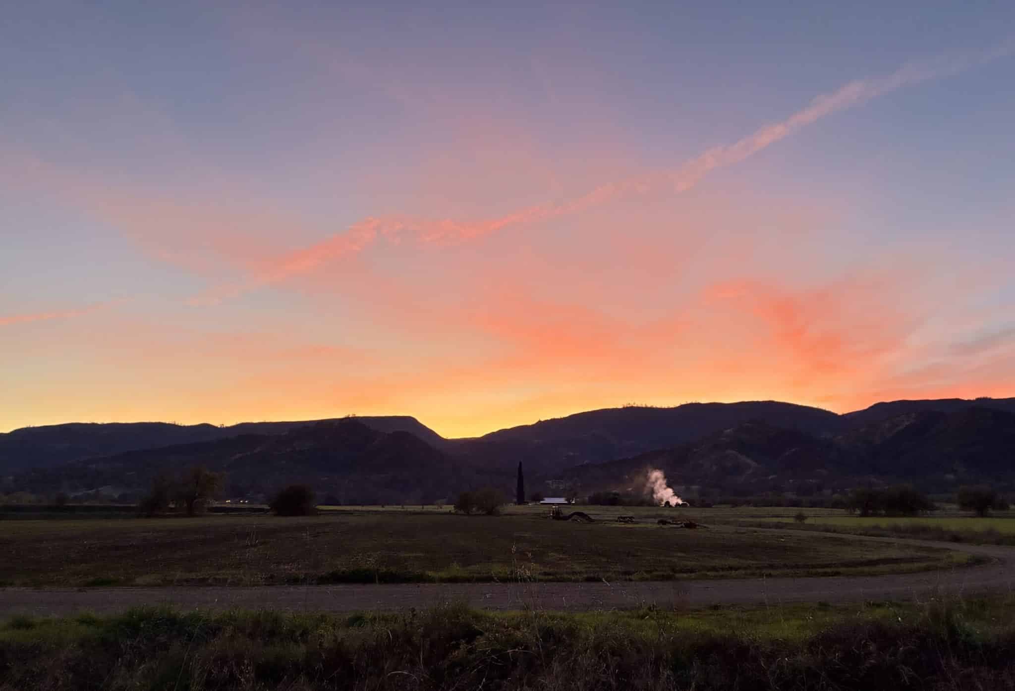 News from the Farm | December 1, 2025