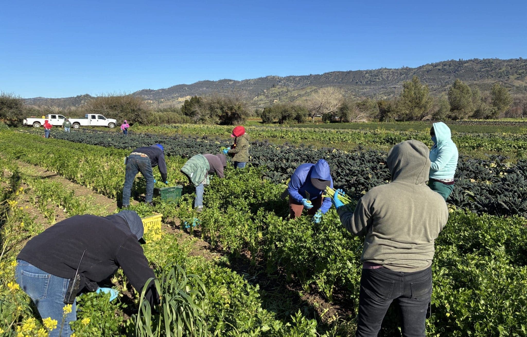 News from the Farm | January 19, 2026