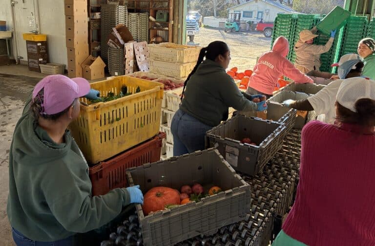 News from the Farm | February 16, 2026