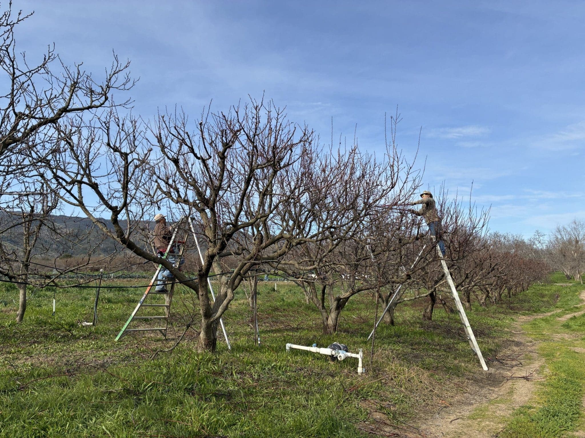 News from the Farm | February 2, 2026