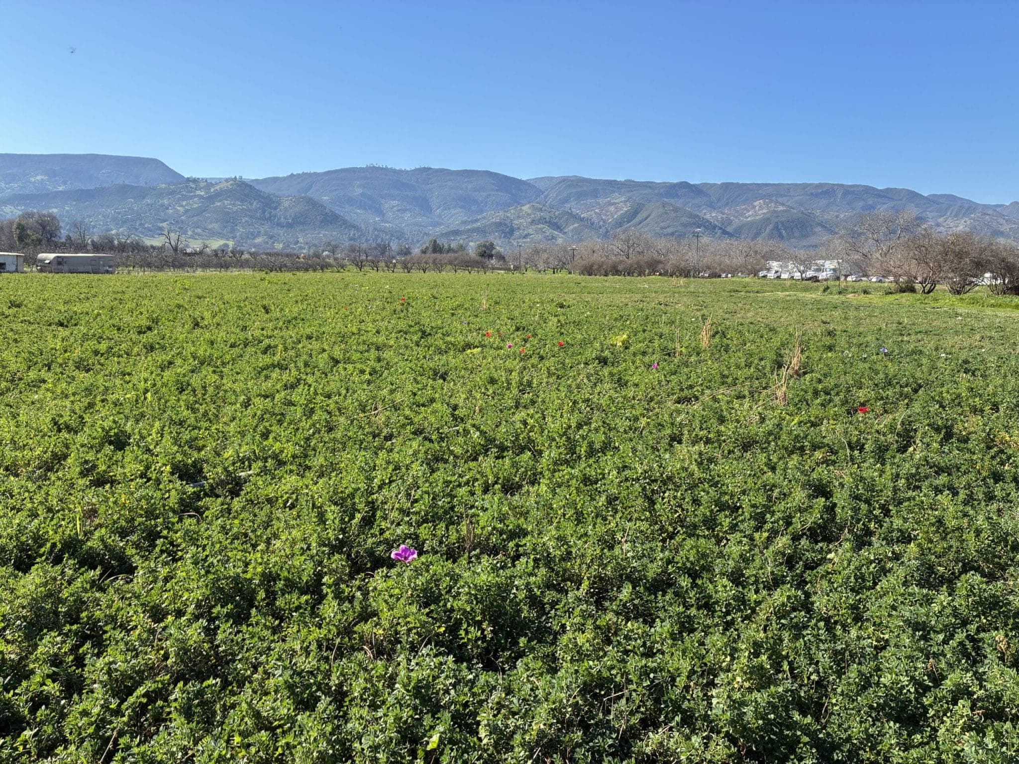 News from the Farm | February 9, 2026