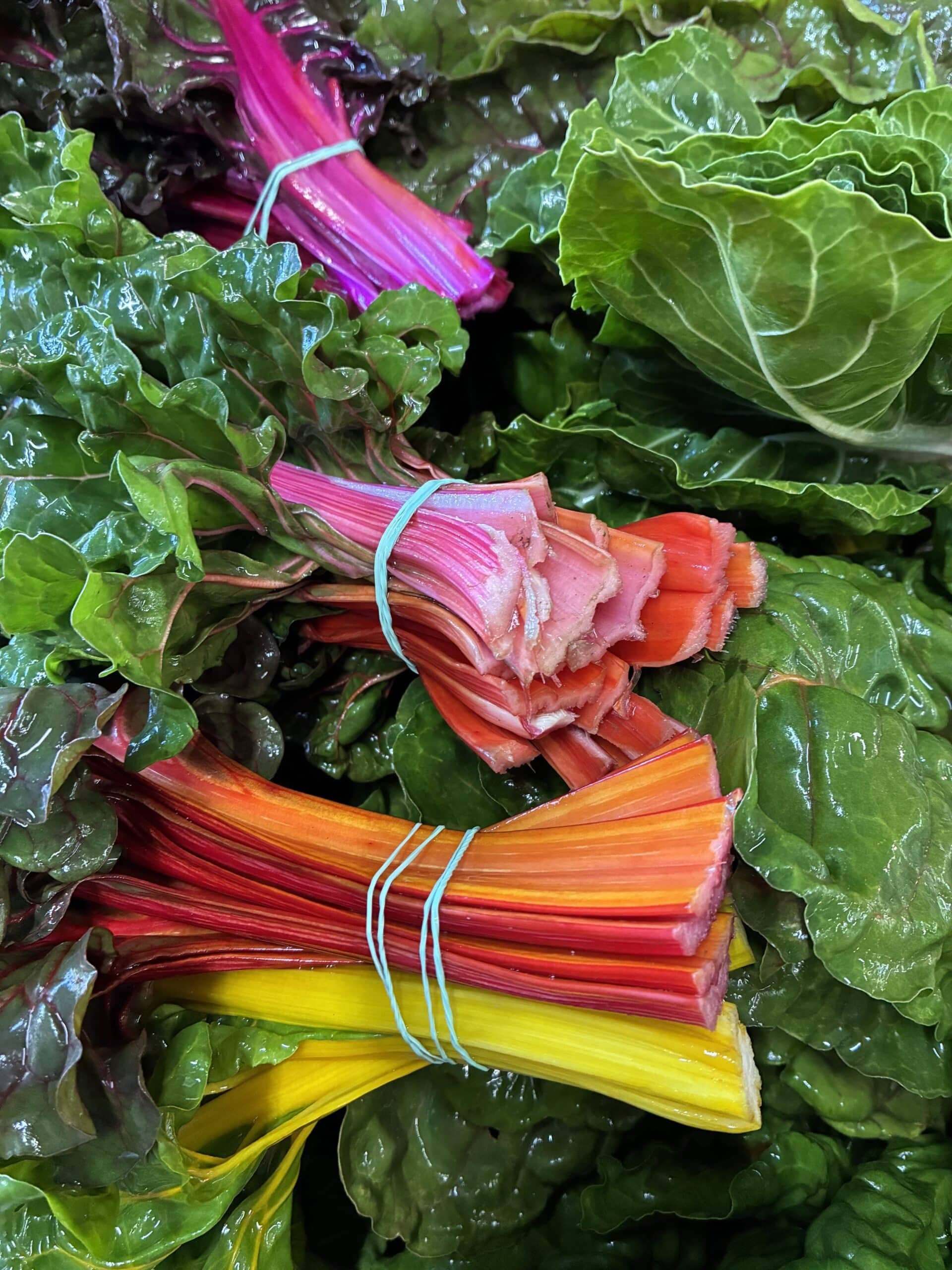 News from the Farm | March 16, 2026