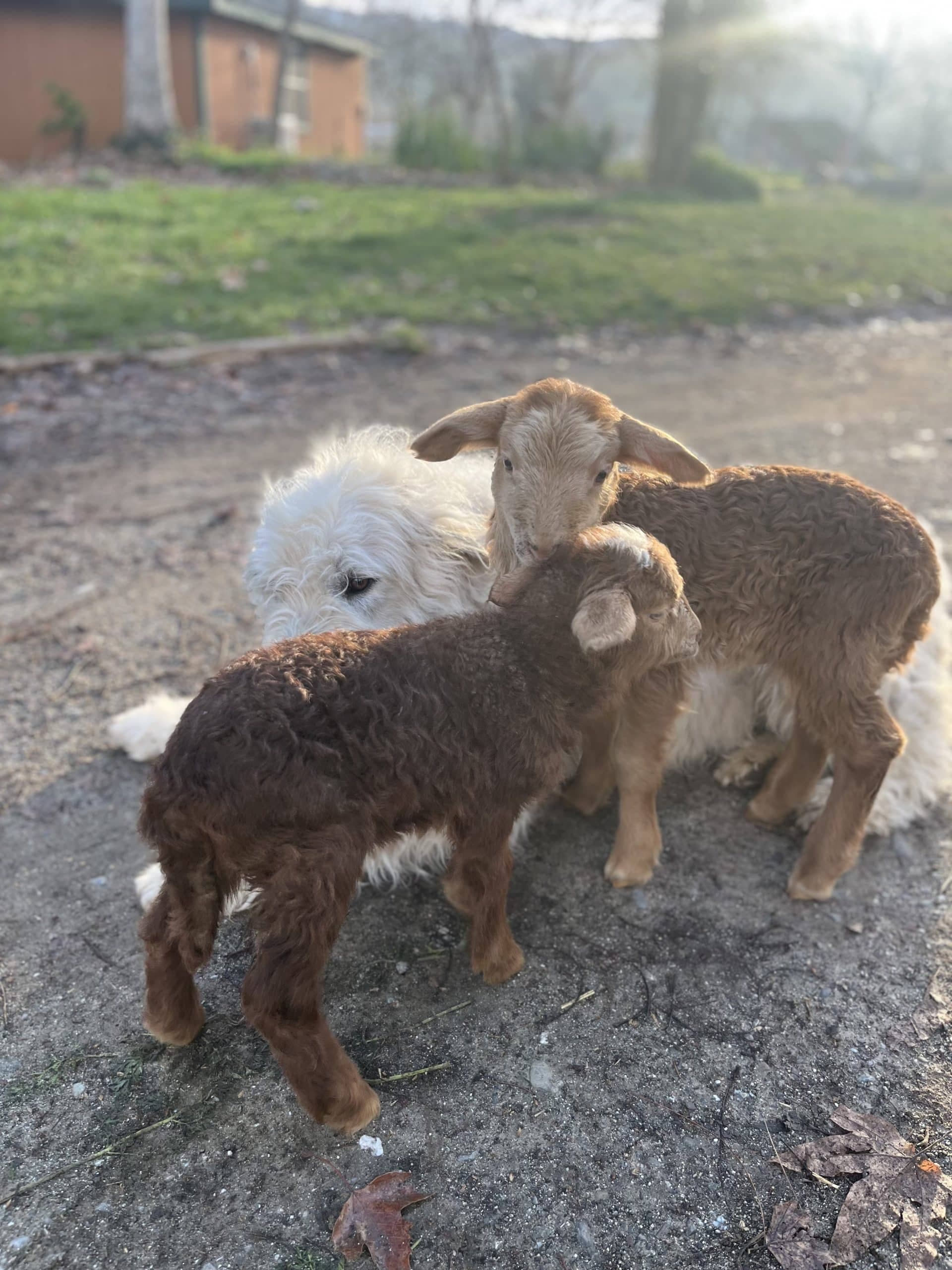 News from the Farm | March 2, 2026
