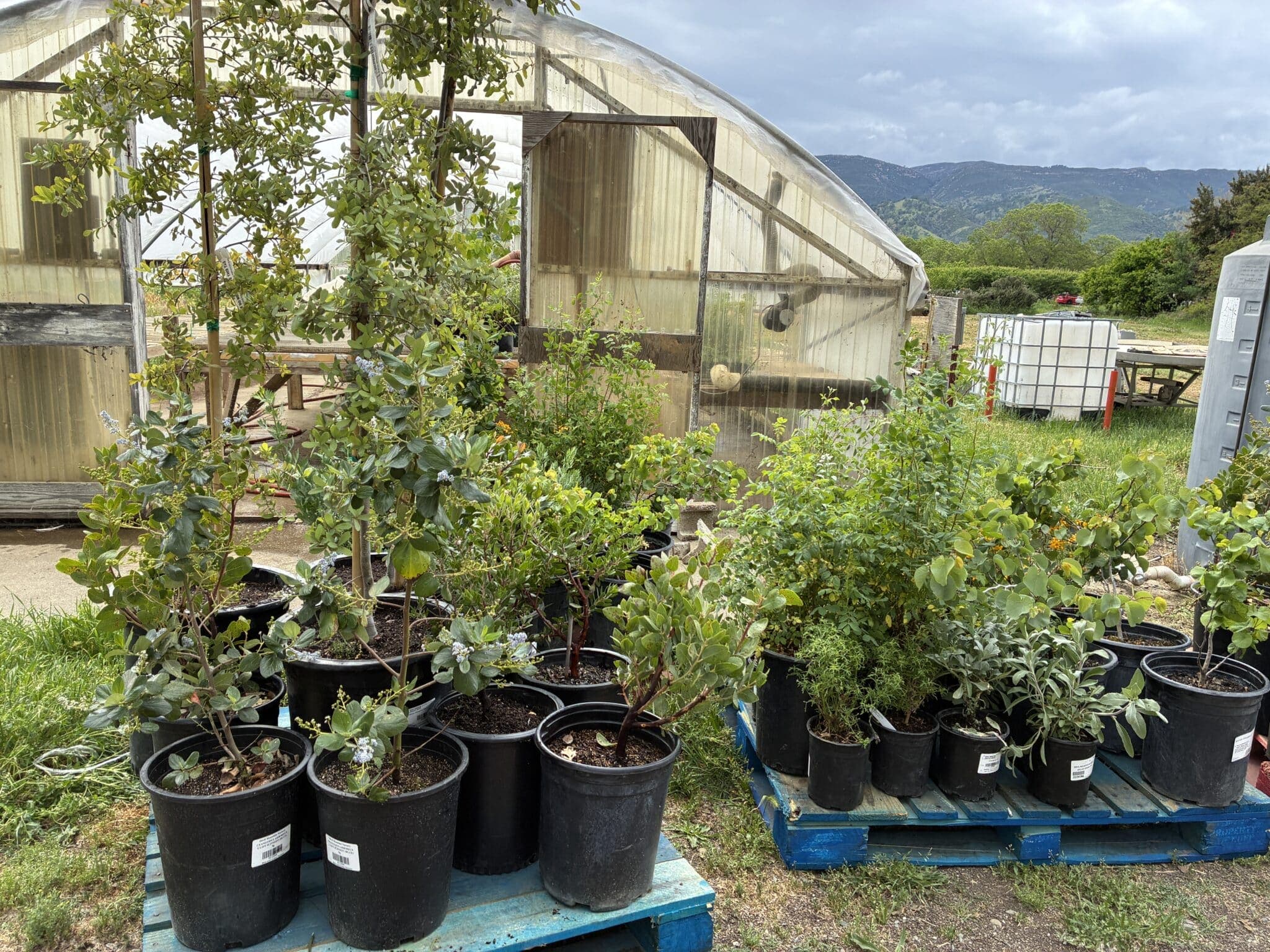News from the Farm | April 13, 2026