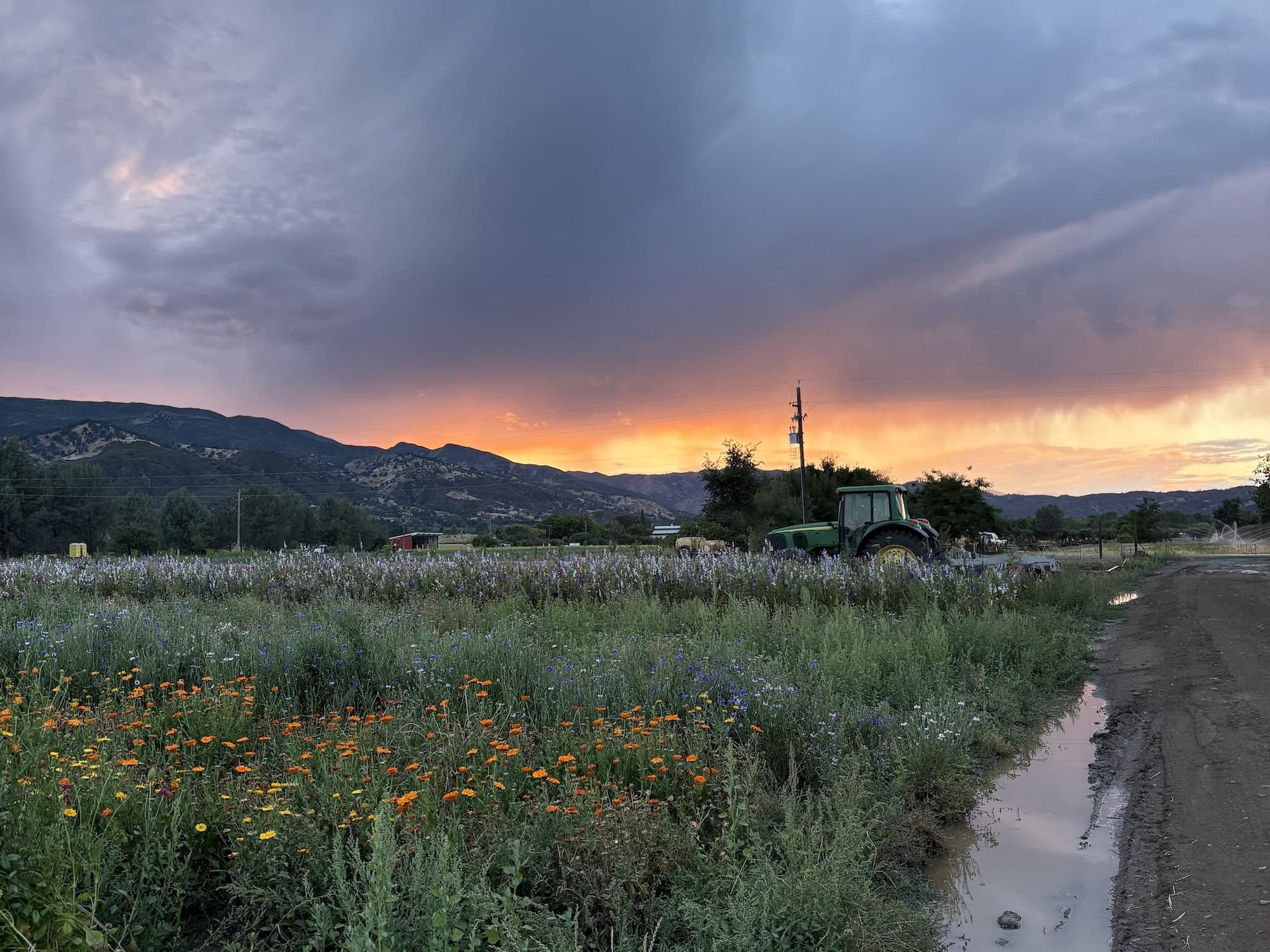 News From the Farm | June 1, 2026