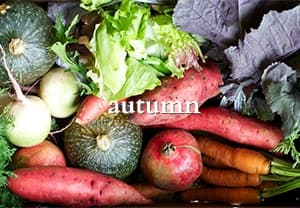Autumn Box