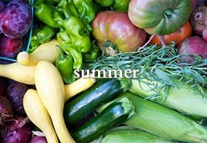 Summer Box